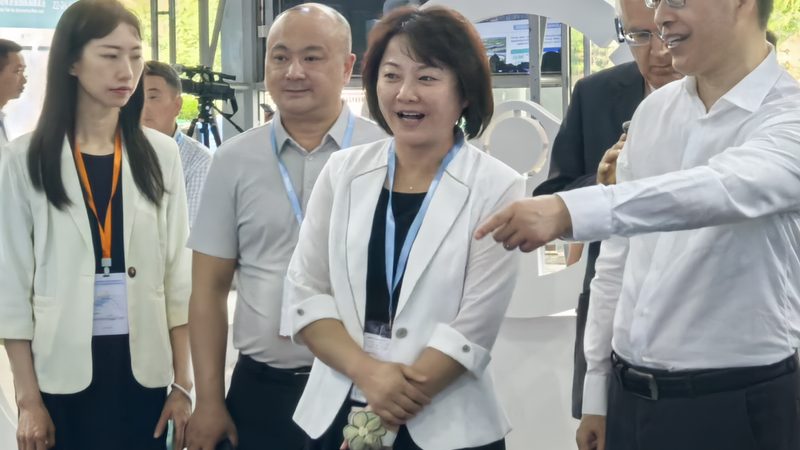 新能源配件在成都汽车配件批发市场的崛起